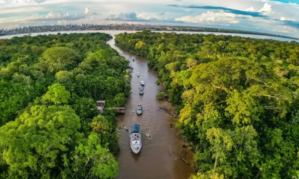 Evento discute caminhos para fortalecer a bioeconomia amazônica da produção ao mercado com especialistas