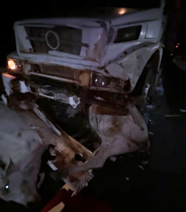 Quatro bois morrem após caminhão atingir manada solta na BR-156 – SelesNafes.com