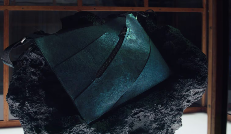 Bolsa de couro de dinossauro pode valer mais de R$ 3,4 milhões; entenda