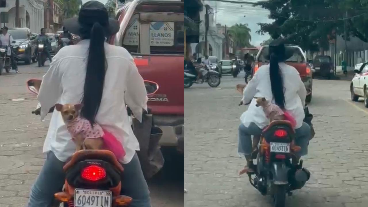 Cachorrinha de saia é flagrada na garupa de moto