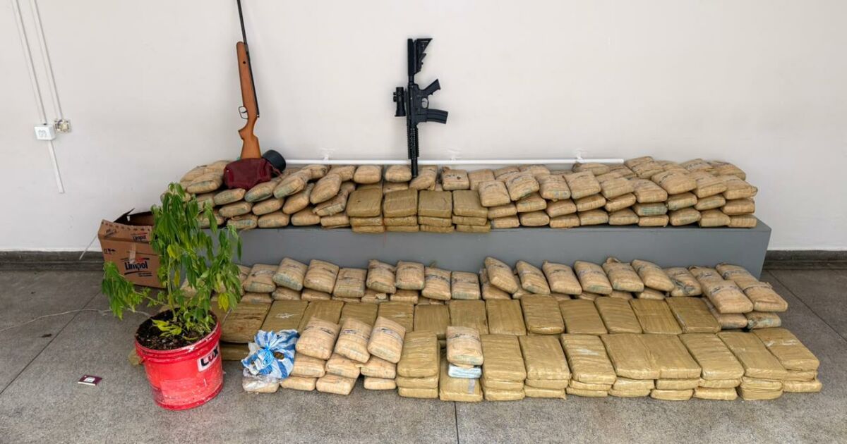 Casal é preso com 300 kg de maconha avaliada em R$ 6 milhões em Manaus