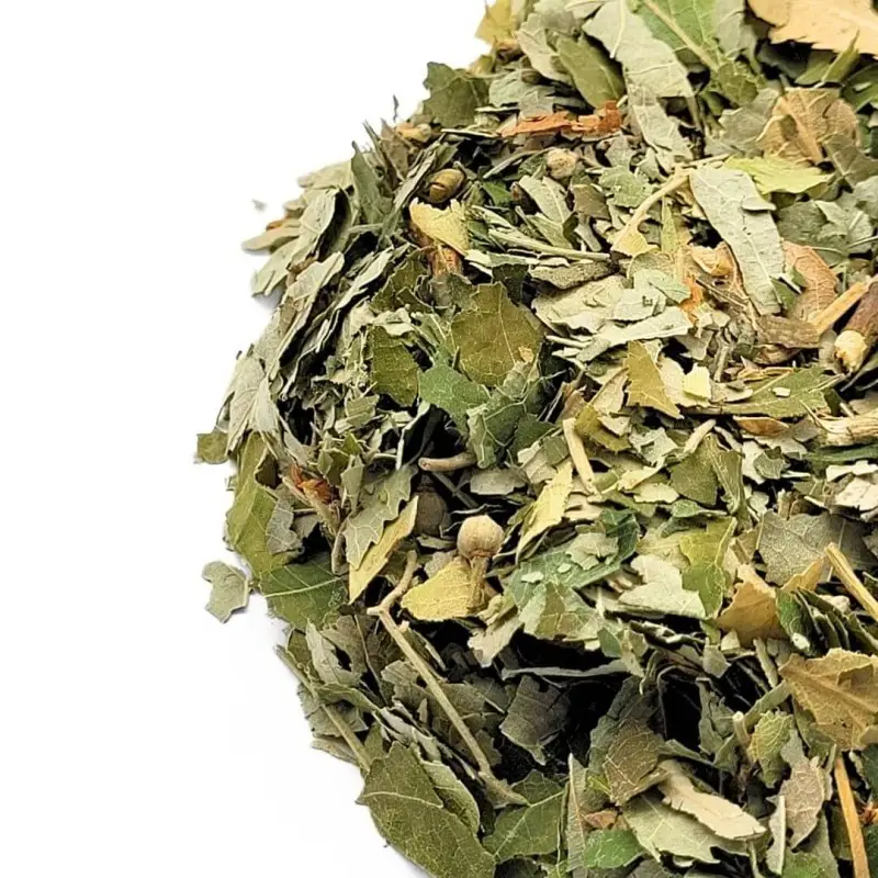 Tília: benefícios da árvore medicinal que ajuda a reduzir ansiedade e melhorar o sono