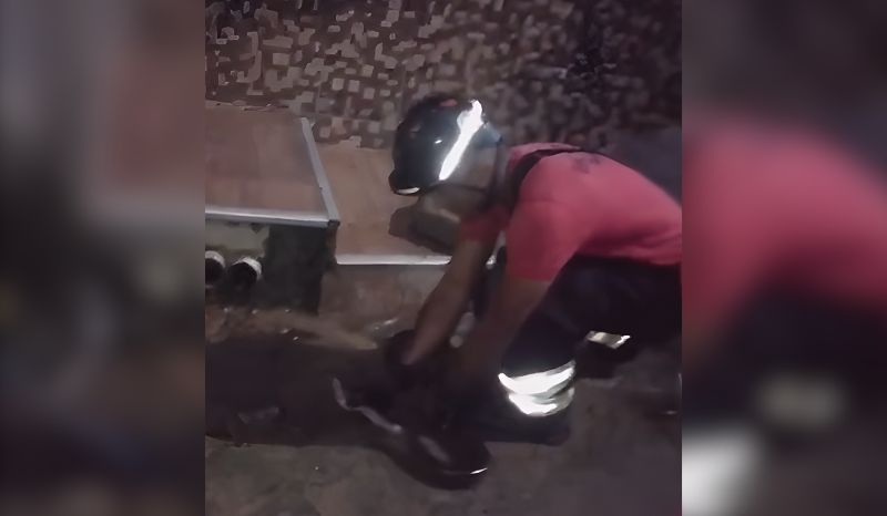 sucuri de quase 2 metros é resgatada em frente a casa em Manaus