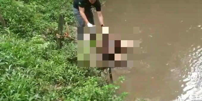 Corpo de mulher é encontrado boiando em rio no bairro Paricatuba, em Benevides