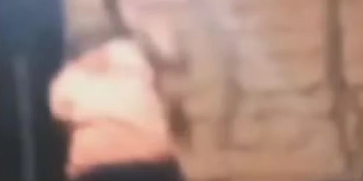 Suspeito de espancar cachorro até a morte é procurado pela polícia no interior do Maranhão