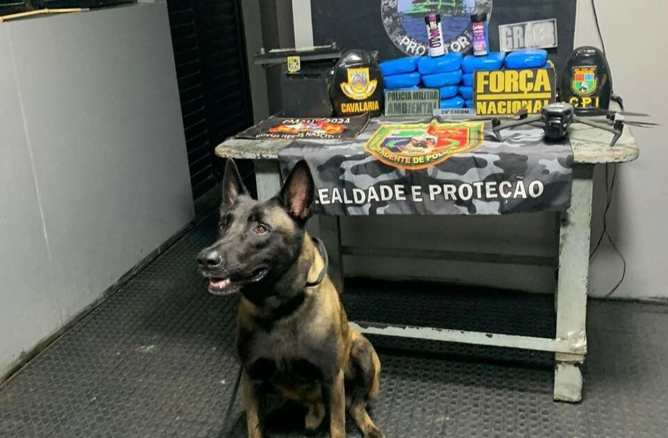 Dupla é presa com 17 quilos de drogas ocultos em esteira de academia no AM