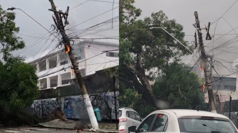 Vídeo: queda de árvore derruba poste e causa incêndio na Pedreira, em Belém