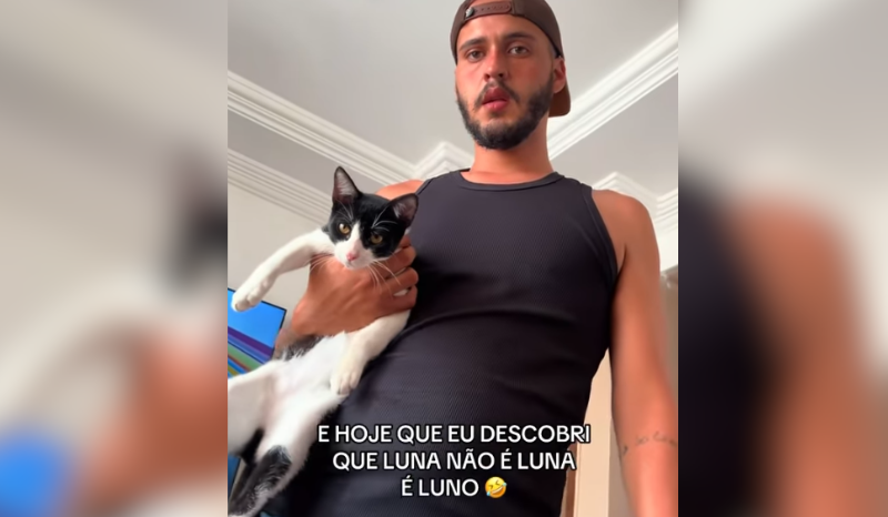 tutor descobre que gata na verdade é macho; VEJA