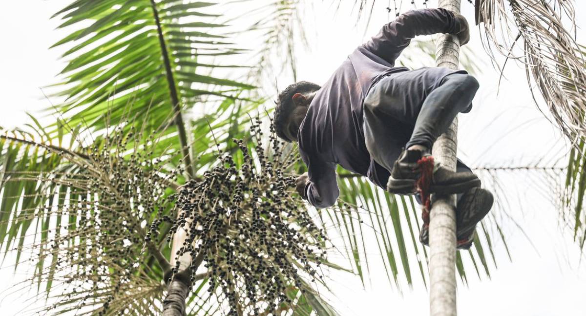 Governo investe R$ 132 milhões em regularização fundiária na Amazônia