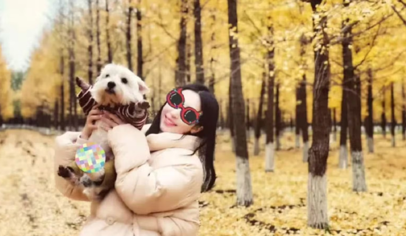 Mãe de pet muda de vida para prender homem que envenenou cão