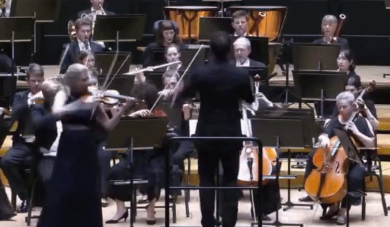 Maestro derruba violino de R$ 5,8 milhões durante concerto; VEJA