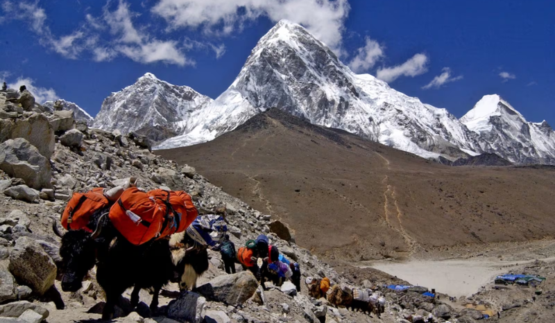 Como guias do Everest envenenavam alpinistas para aplicar fraude milionária