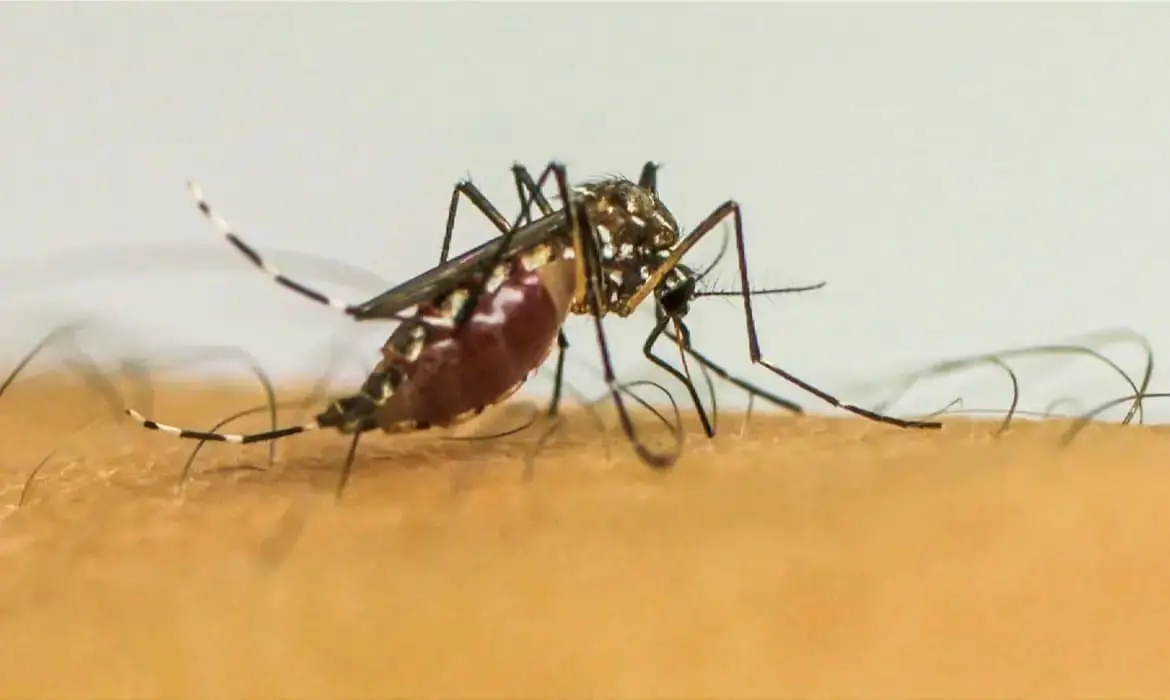 Acre tem 1.333 casos de dengue, 39 de chikungunya e 16 de zika em 2026