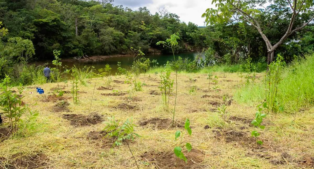 Novo parque na Serrinha do Paranoá exclui área dada como garantia ao BRB