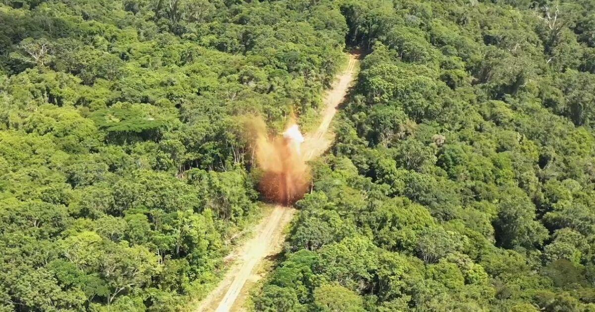 Operação interdita pistas clandestinas na Terra Indígena Yanomami