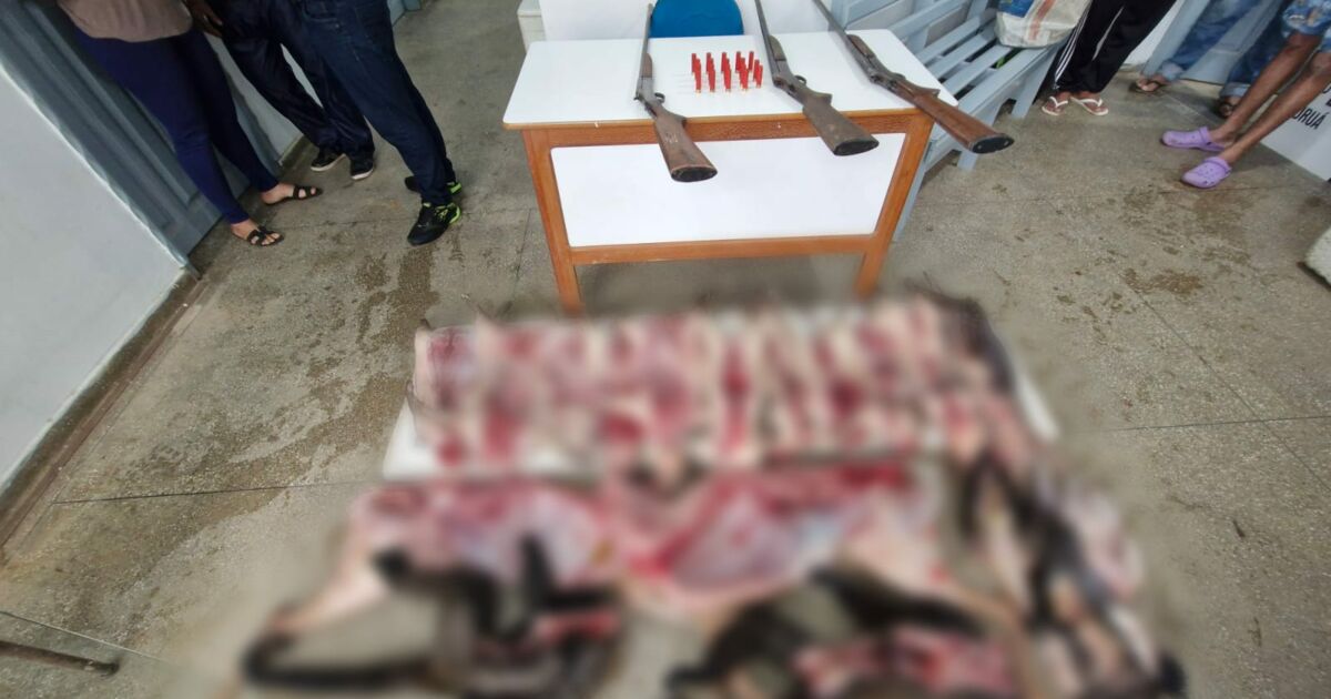 Seis homens são presos por caça ilegal e porte de armas no AM