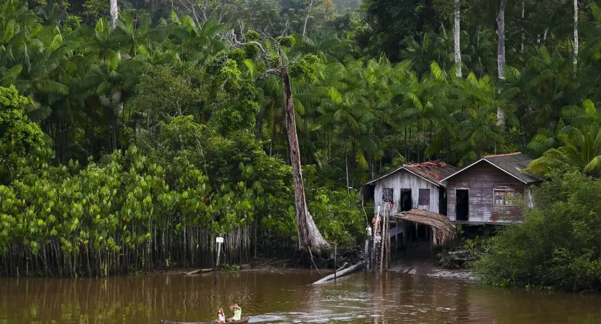 Projeto do SUS combate isolamento de pacientes com lobomicose na Amazônia