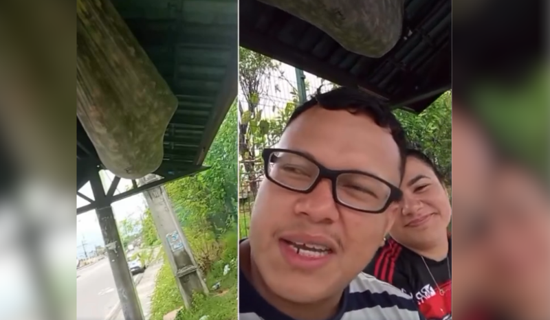 casal flagra pessoa em rede na parada de ônibus em Manaus; VEJA