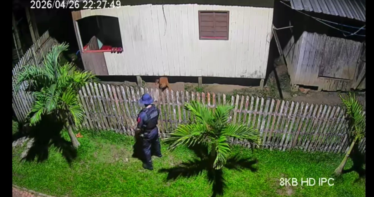 policial usa spray de pimenta contra cachorro preso em quintal