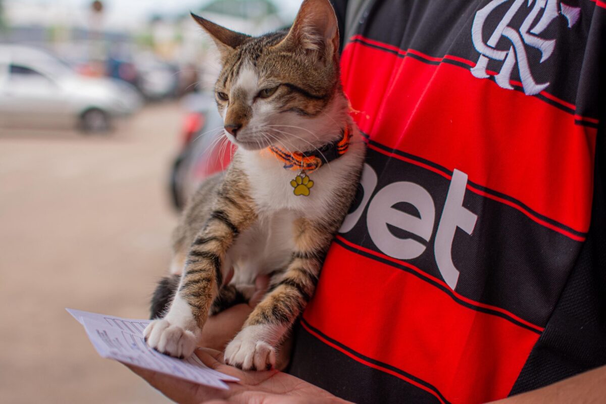 Vacinação antirrábica imunizou mais de 700 animais em Rio Branco
