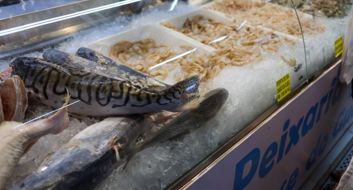 Vigilância Sanitária alerta para cuidados com peixes na Semana Santa