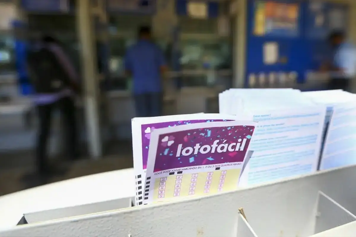 Lotofácil 3691: resultado e prêmios que saíram para Goiás
