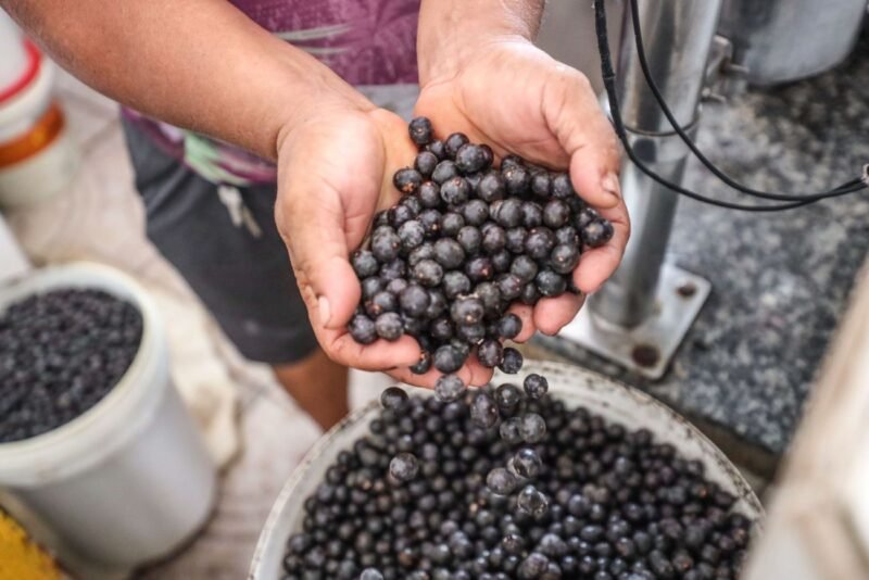 Açaí grosso chega a R$ 80 em Belém com alta na entressafra e exportações
