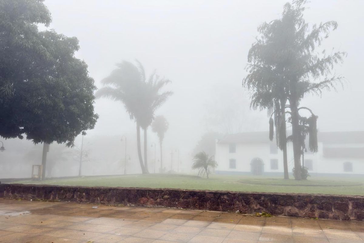 Chapada amanhece sob forte neblina e termômetro marca 13°C …