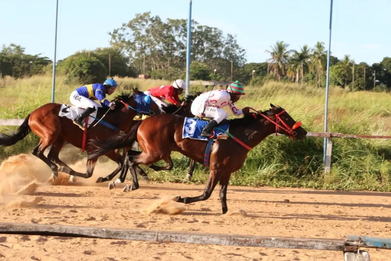 Hipódromo da Lagoinha recebe corrida do Dia das Mães; confira os resultados