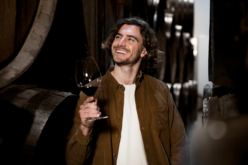 Como a Argentina se tornou referência na produção de vinhos na América do Sul