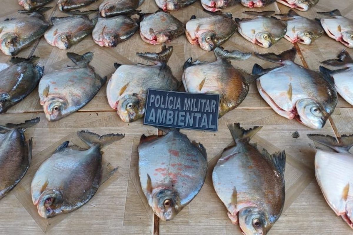 Batalhão Ambiental prende homem com pescado ilegal em MT…