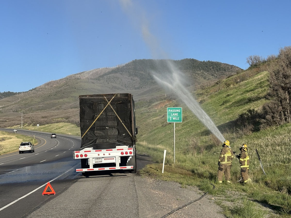 Bombeiros salvam 25 milhões de abelhas após caminhão quebrar em rodovia dos Estados Unidos