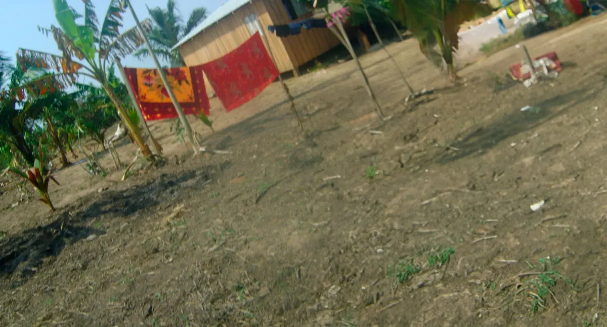 AMAZÔNIA CAMPONESA IV – News Rondônia