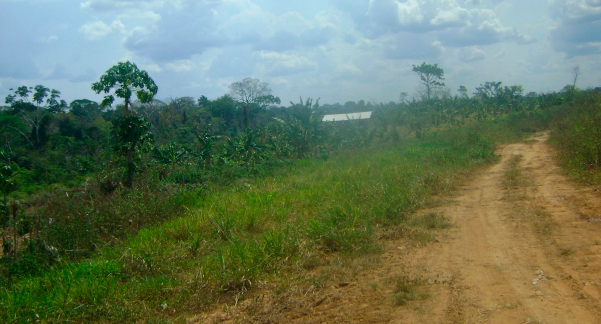 AMAZÔNIA CAMPONESA VI – News Rondônia