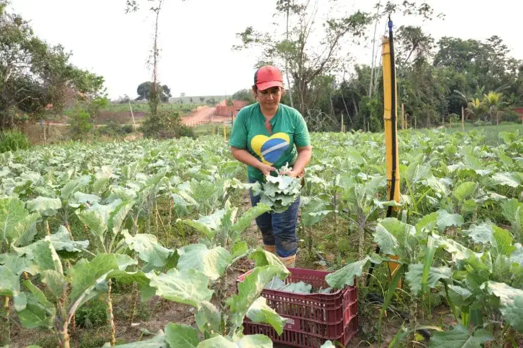 Contrata+Brasil deve movimentar R$ 17,4 milhões da agricultura familiar para merenda escolar no Acre