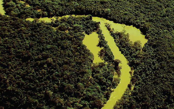 Operação integrada combate crimes ambientais em municípios da Amazônia Maranhense