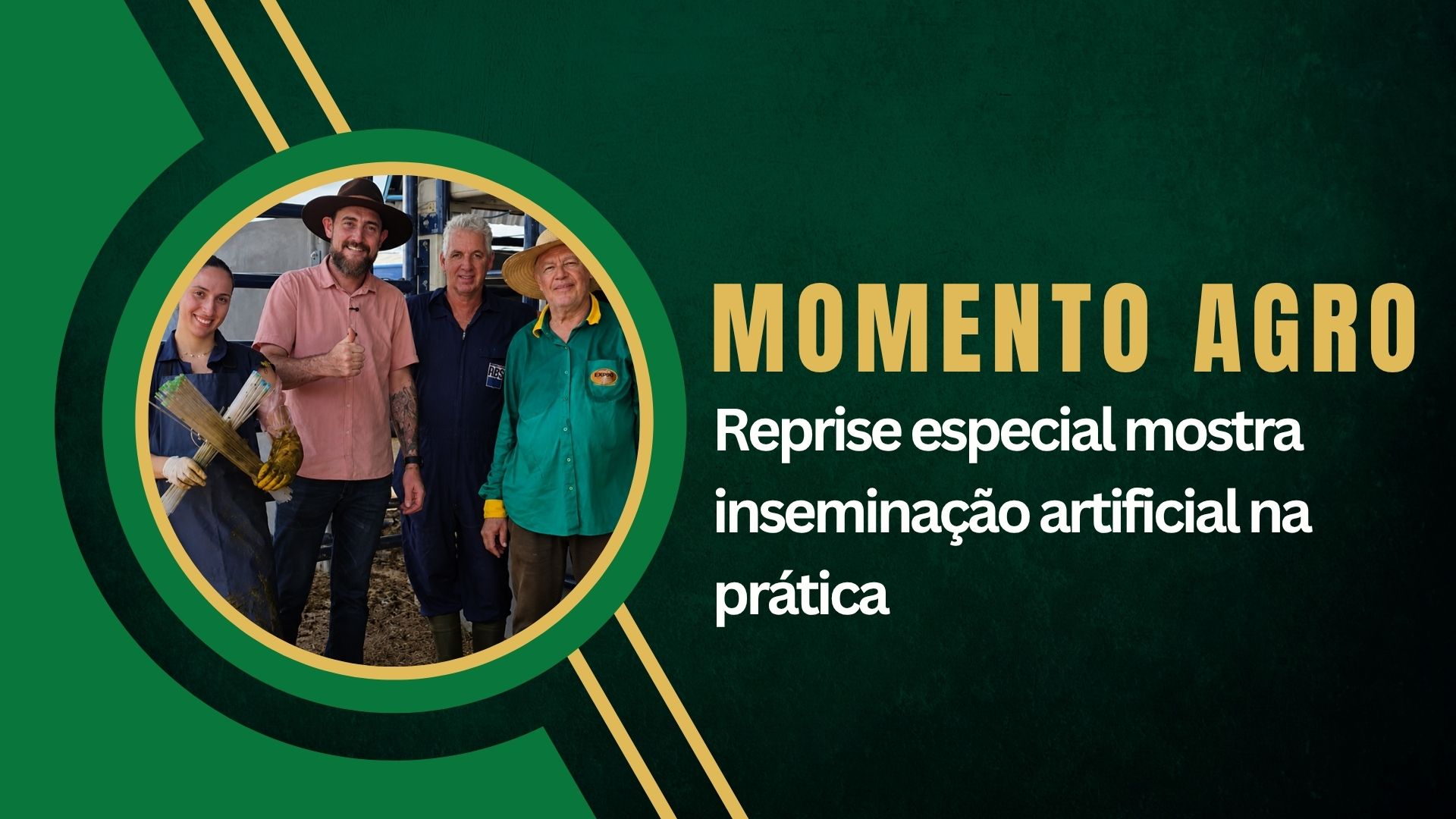 Momento Agro: Reprise especial mostra inseminação artificial na prática