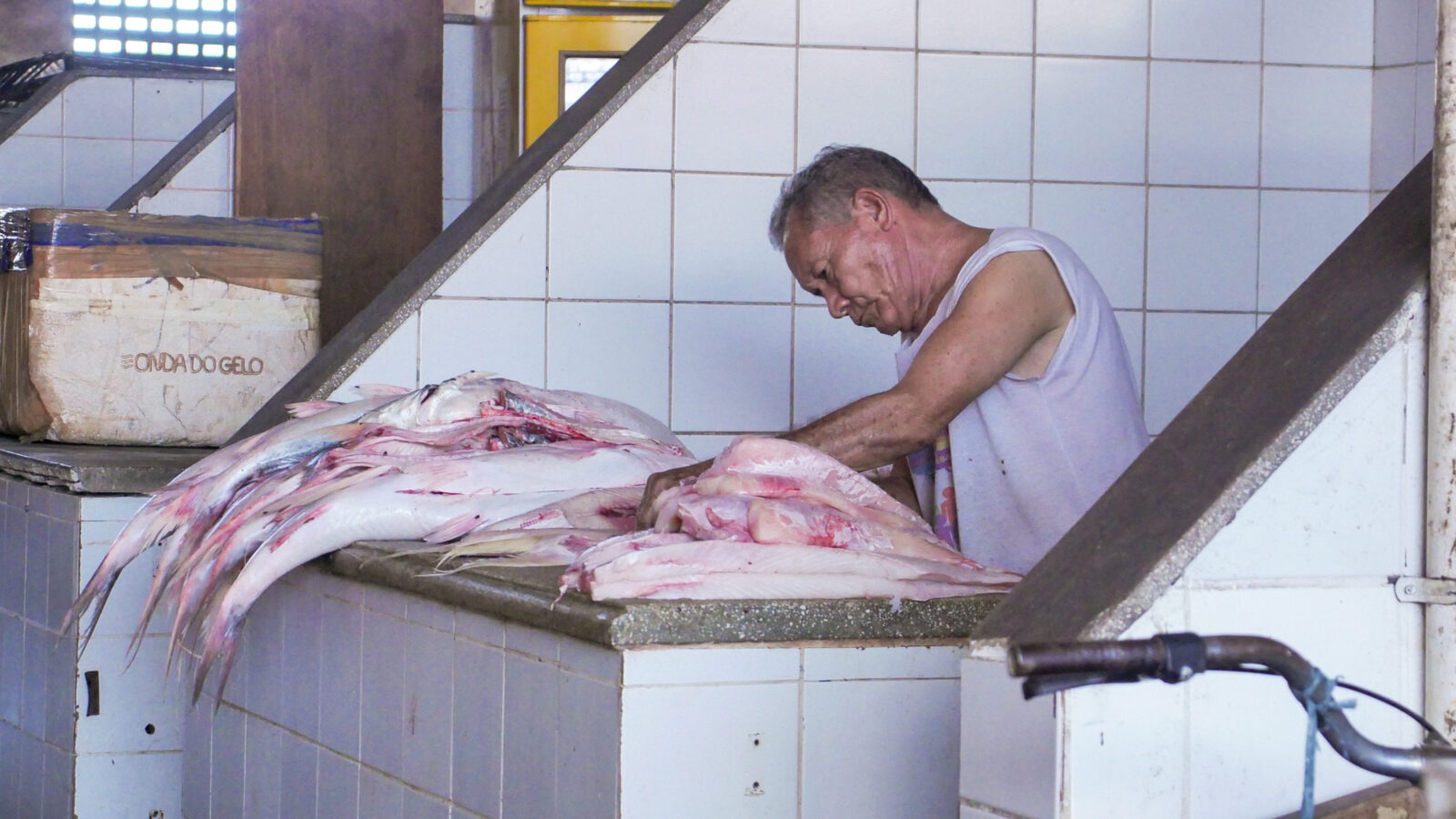 Revitalização do mercado – Diário do Amapá