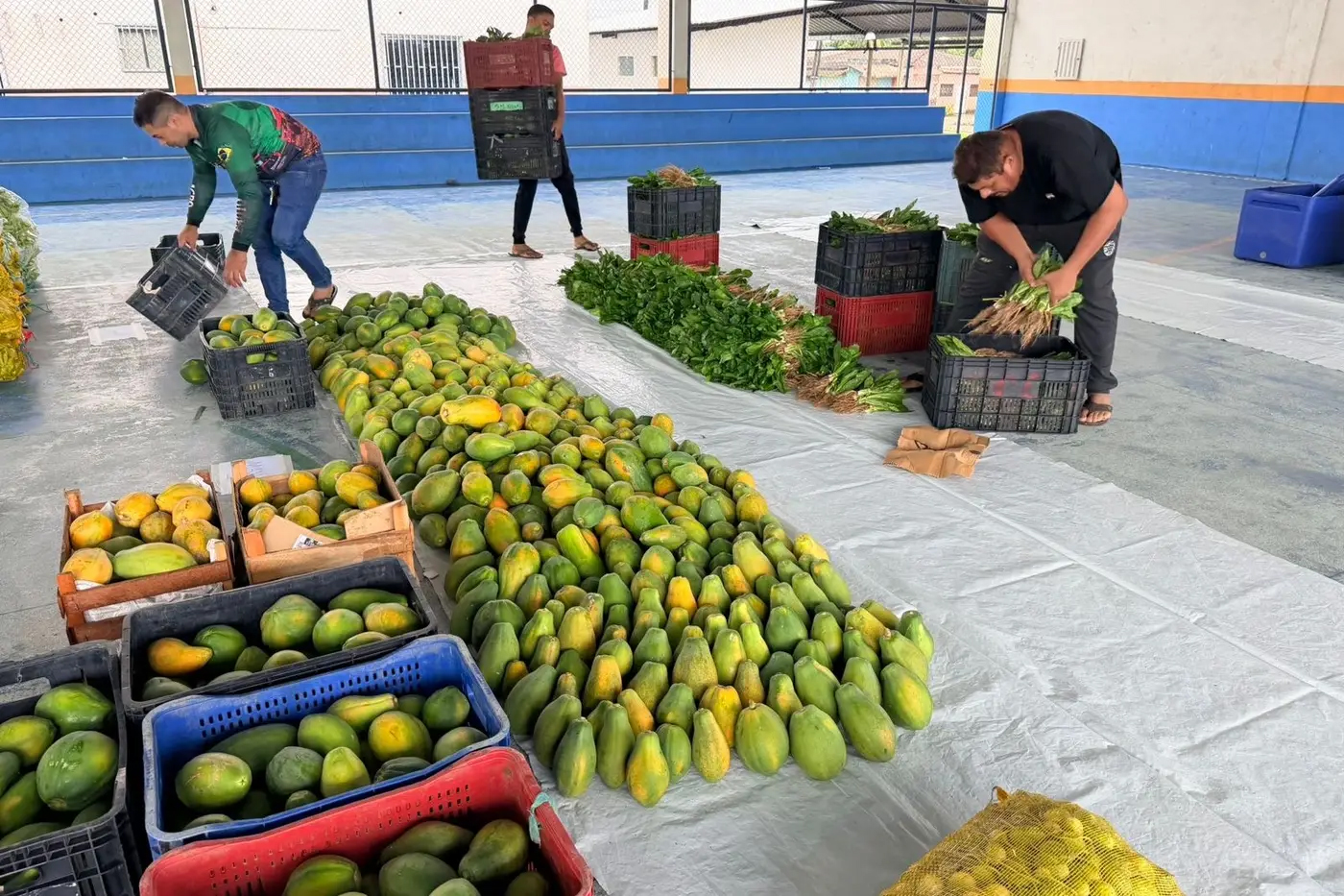 Aquisição de alimentos – Diário do Amapá