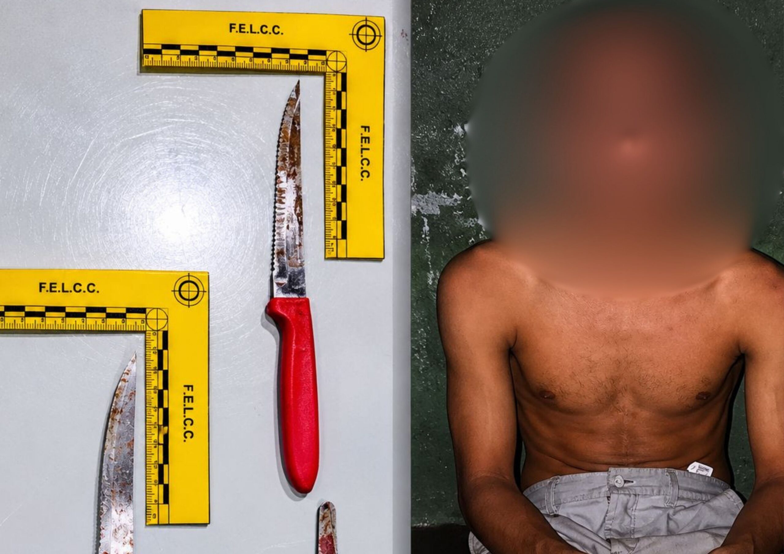 Filho é preso após atacar a própria mãe a facadas