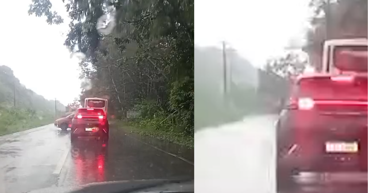 Estado do Pará Online – Após fortes chuvas, segunda árvore cai na estrada de Mosqueiro em menos de 24 horas