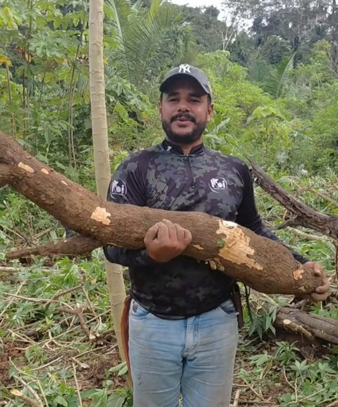 Macaxeira gigante chama atenção em comunidade rural no interior do AC