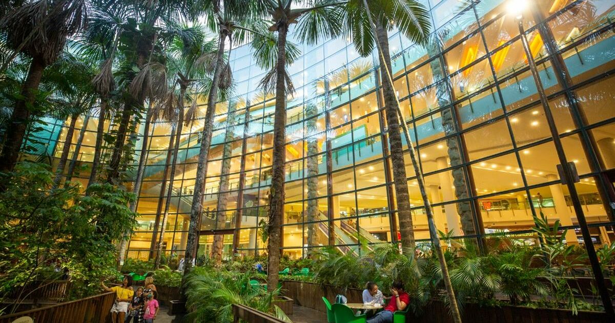 Shopping arrecada alimentos para projetos sociais em Manaus; saiba como doar