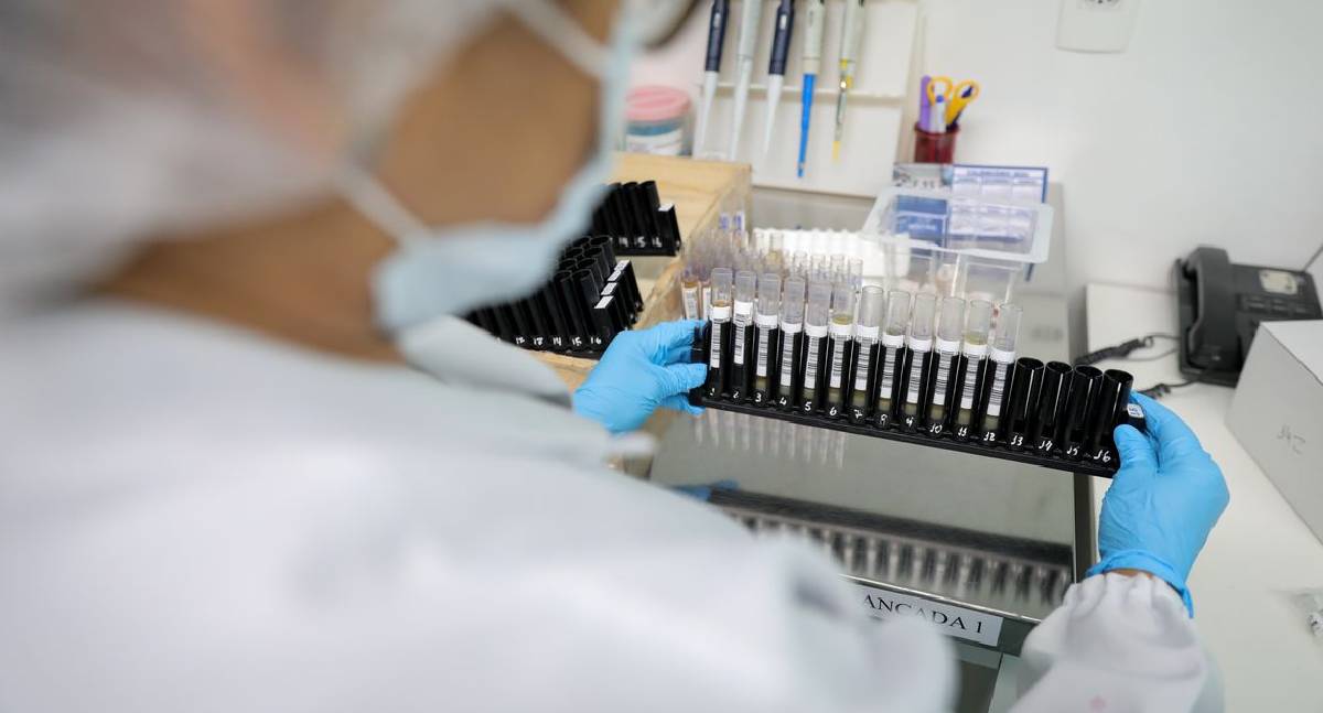 Fiocruz obtém patente para tratamento contra malária resistente