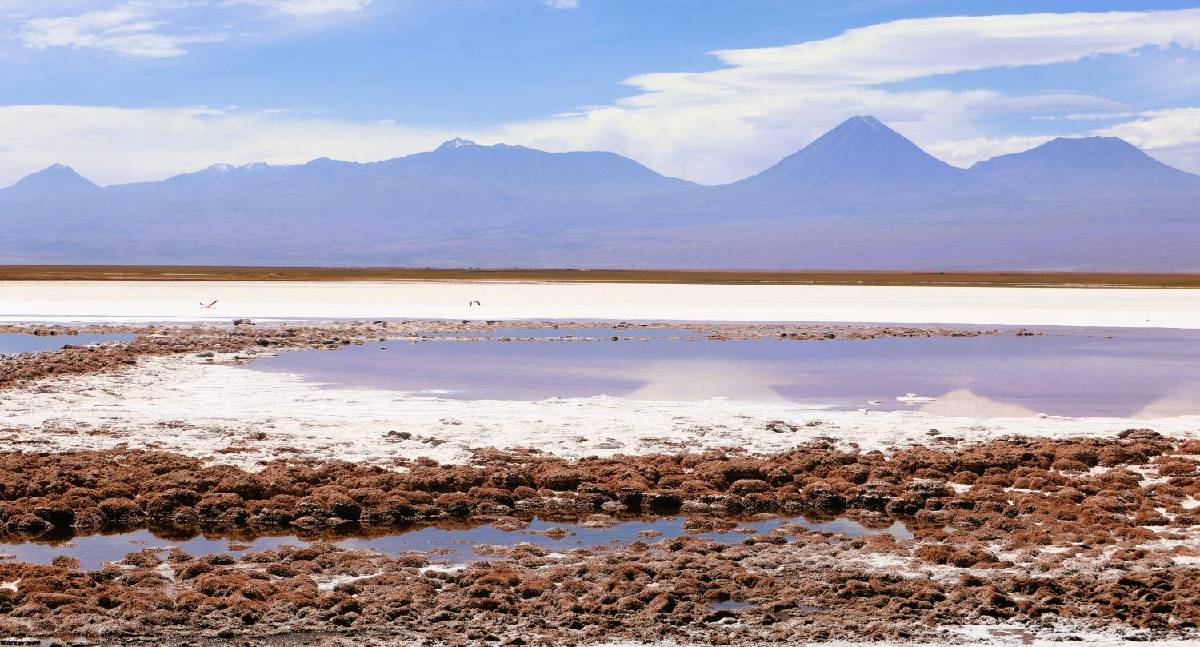 Atacama se consolida como destino seguro para viajantes brasileiros