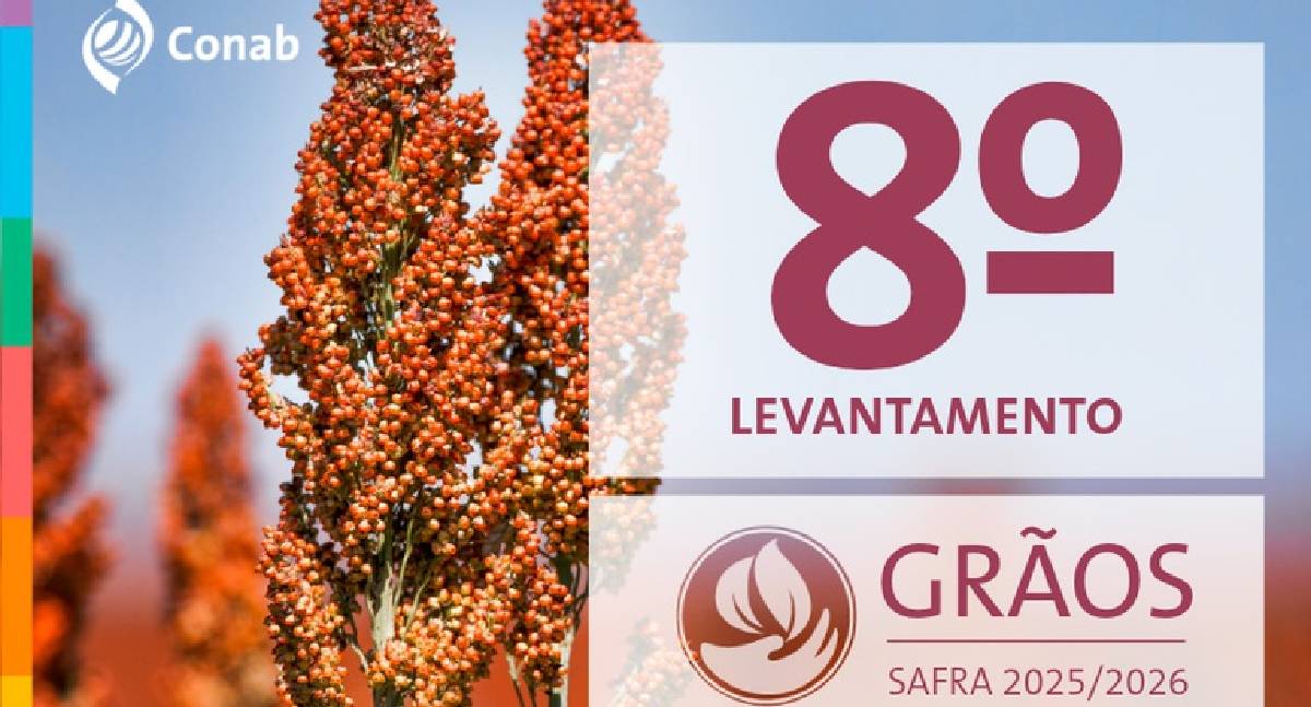 Conab prevê safra recorde de 358 milhões de toneladas