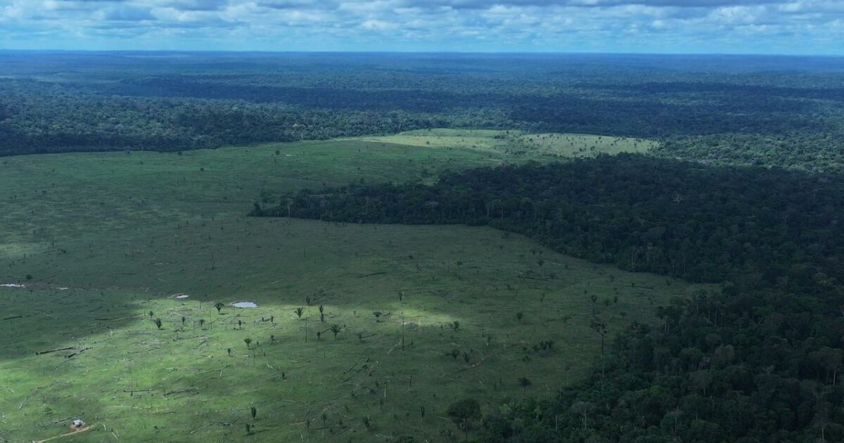 Operação Tamoiotatá 6 conclui etapa com mais de R$ 57 milhões em multas