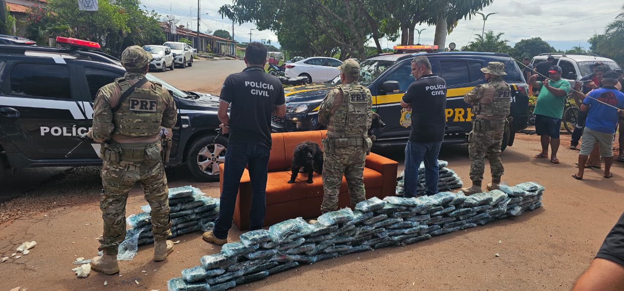 Carga de 120 kg skunk é apreendida dentro de caminhão na BR-135, em Matões do Norte