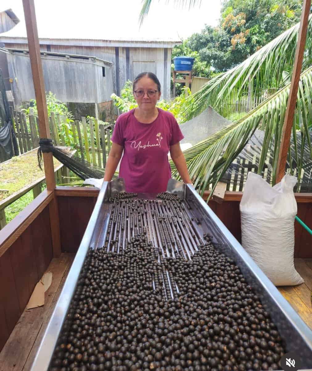 Trabalho de desidratação de frutas do Jordão é finalista do 13 Prêmio Fundação BB de Tecnologia Social