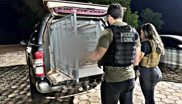 Homem é preso após descumprir medida protetiva em Vitória do Mearim